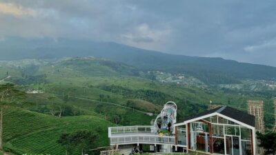 Bingung Liburan di Karanganyar, Mampir Dulu Yuk di  Kebun Teh Kemuning
