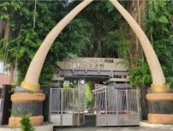 Inilah Desa Wisata Sangiran Situs Purbakala dan Wisata Sejarah, Sumber Ilmu Arkeologi