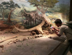 10 Wisata Murah di Solo yang Harga Tiketnya Aman untuk Pelajar