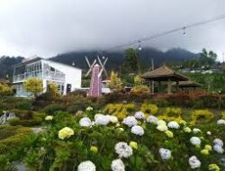 Keunikan Pesona Merapi Garden Selo, Wisata Taman Bunga dengan View Langsung Gunung