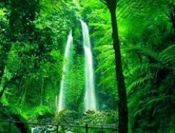 Keindahan Wisata Air Terjun Pringgodani, Sungguh Menggiurkan
