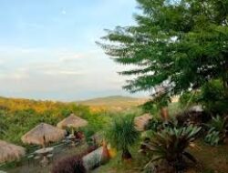 Fakta Unik Wisata Hidden Gem Terbaru Sukoharjo, Camping View Pemandangan Indah