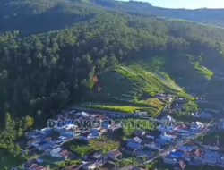 8 Nama Desa Unik di Kabupaten Karanganyar, Berikut Sejarah Singkatnya Delapan Desa dengan Nama Serupa