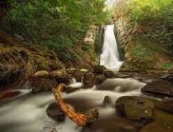 Menguak Kesejukan Alam Tersembunyi Air Terjun Kedung Sriti Tawangmangu, Cocok Bagi yang Suka Petualangan