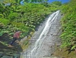 Intip Keindahan Alam Air Terjun Seloresi Wonogiri, Kian Sejuk karena di Lereng Lawu!