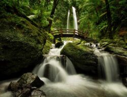 Air Terjun Jumog, Destinasi Wisata Alam di Solo Yang Wajib Kamu Kunjungi