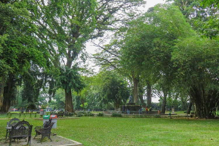 Taman Balekambang merupakan taman yang sangat indah dan memiliki kekayaan flora dan fauna.