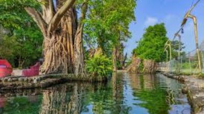 Inilah Keunikan Keindahan Alam Wisata Umbul Manten, Berenang dengan Sumber Mata Air Alami