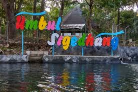 WISATA UMBUL SIGEDANG - Inilah Keasrian Alam Wisata Umbul Sigedang, Mata Air Menyegarkan!