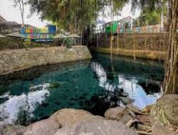 Menjelajahi Surga Tersembunyi Wisata Umbul Kapilaler Klaten, Di Bawah Naungan Beringin Tua