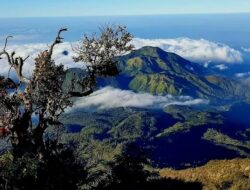 Kisah Tersembunyi dari Gunung Lawu, Inilah Sejarah Hingga Mitosnya