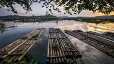 Kesejukan Alam Wisata Rowo Jombor Klaten, Serunya Naik Perahu Sambil Menikmati Senja