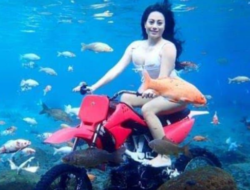 Tempat Wisata Terbaru di Klaten 2024 yang Wajib Dikunjungi untuk Liburan Sekolah dan Akhir Pekan