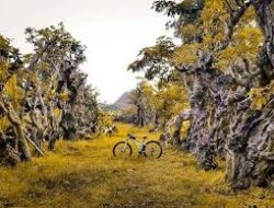 Panorama Alam Wisata Taman Kamboja Klaten, Wisata Alam Eksotis Rasa Afrika