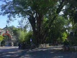 Mengenal Lebih Dekat Destinasi Liburan Taman Rakyat Solo, Tempat Wisata Legendaris