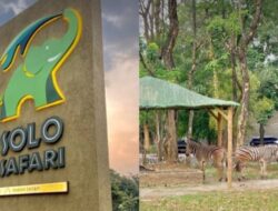 Wisata di Solo yang Cocok untuk Anak Muda, Estetik dan Kekinian