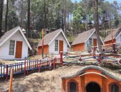 Menelusuri Keindahan Taman Nuansa Alam Tawangmangu, Bisa Main Salju!