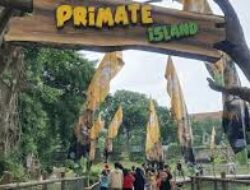 Inilah Pesona Wisata Kebun Binatang Solo, Family Friendly