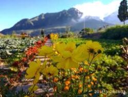 Suasana Alam Indah Tretes Taman Tani Boyolali, Diapit Merapi-Merbabu