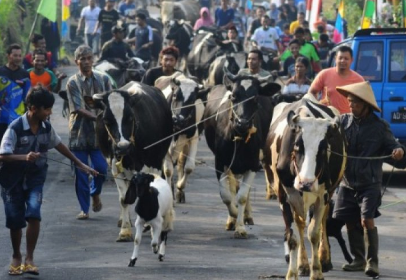 Tradisi Unik di Boyolali setiap bulan syawal