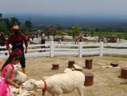 Mengulas 5 Destinasi Wisata di Boyolali, Berikut Harga Tiket yang Sesuai untuk Liburan Keluarga