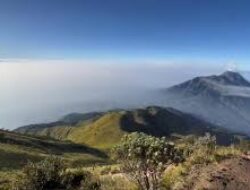Wisata Gunung Merbabu Boyolali Berlapiskan Sabana, Menikmati Keindahan Alam Semesta