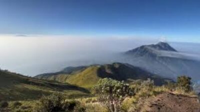 GUNUNG MERBABU - Wisata Gunung Merbabu berlapiskan sabana.