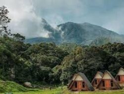 Taman Sakura Hills Tawangmangu Wisata Suasana Jepang, Glamping Unik dan Pemandangan Megah Gunung Lawu