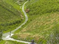Bukit Kinasih Boyolali Yang Hijau Dan Asri, Pesona Alam yang Memukau