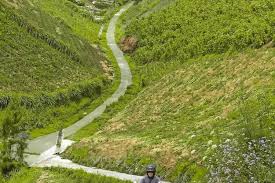 BUKIT KINASIH BOYOLALI - Bukit Kinasih Boyolali yang hijau dan asri.