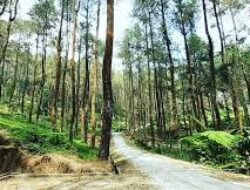 Taman Hutan Raya Karanganyar, Ruang Terbuka Hijau Yang Jadi Wisata Alam Ramah Anak