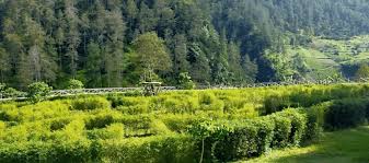 Tawangmangu Wonder Park merupakan wisata terbaru dan kekinian.