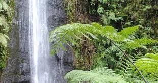 Air Terjun Seloresi Wonogiri kian sejuk.