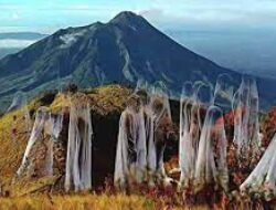 Cerita Mistis Gunung Lawu Bikin Bulu Kuduk Merinding, Pasar Setan Paling Terkenal