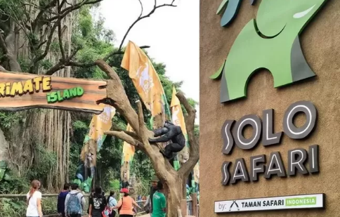 Tempat wisata terkenal di Solo salah satunya ada Solo Safari