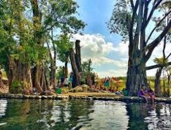 Umbul Manten Sumber Mata Air Alami, Wisata Alam dengan Air Sejernih Kristal di Klaten