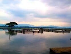Waduk Rowo Jombor Klaten, Ada Warung Apung dengan Pemandangan Indah