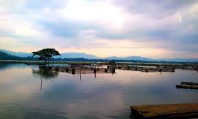 Waduk Rowo Jombor di Klaten adalah alah warung apung dengan Pemandangan Indah.