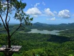 Wisata Alam Kalibiru Menarik untuk Dikunjungi, Surga Tersembunyi Jogja