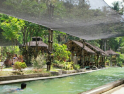 Menggali Potensi Tersembunyi Desa Tambak dan Desa Kragilan di Boyolali