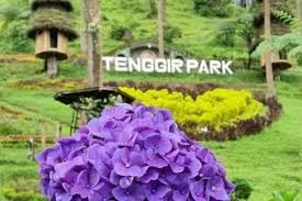 Tenggir Park merupakan pesona alam yang cocok untuk liburan.