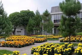 rInilah rumah atsiri yang jadi tempat pembuatan minyak esensial.