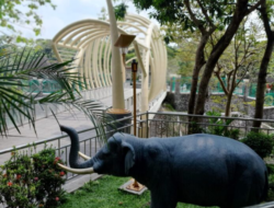 Pemkab Sragen Menetapkan Gading Gajah Purba sebagai Simbol Pembangunan Wilayahnya