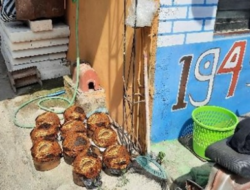 7 Kampung Menarik di Kota Solo, dari Kampung Blankon Petrojayan hingga Kampung Sayur Mojosongo