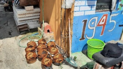 7 Kampung Menarik di Kota Solo, dari Kampung Blankon Petrojayan hingga Kampung Sayur Mojosongo