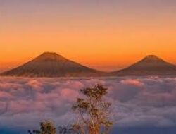 Wisata Gunung Telemoyo Ramai Dipadati Wisatawan, Hijau dan Sejuk