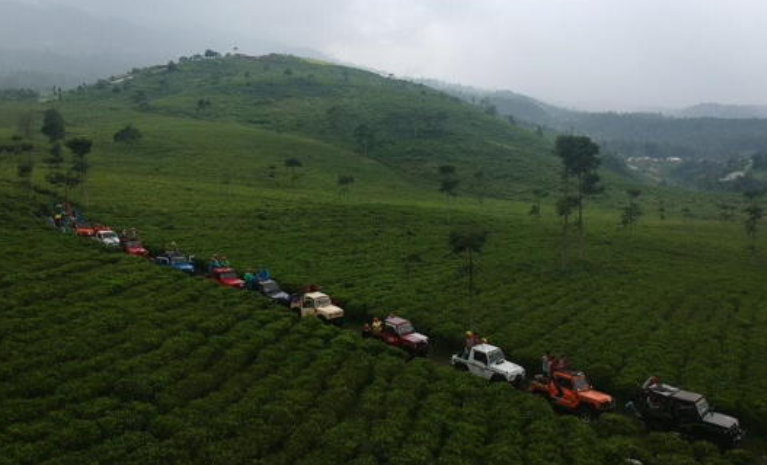 Destinasi wisata Karanganyar salah satunya Kebun Teh Kemuning