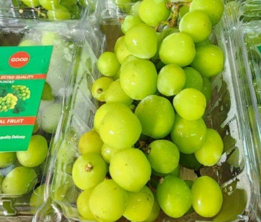 Anggur Shine muscat yang terpapar residu pestisida