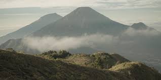 Wisata Gunung Prau dataran tinggi Dieng Boyolali.