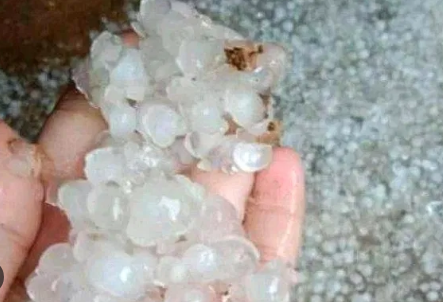 Mojosongo Solo dilanda hujan es, kata warga seperti di lempari kerikil